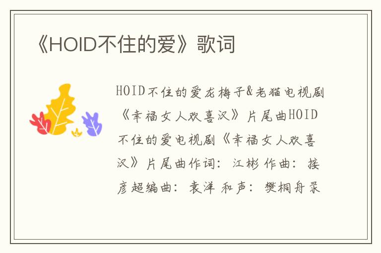 《HOID不住的爱》歌词