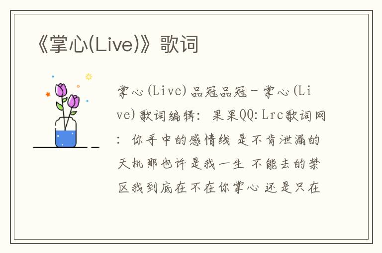 《掌心(Live)》歌词