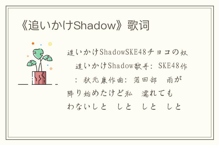 《追いかけShadow》歌词