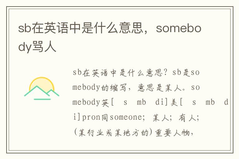 sb在英语中是什么意思，somebody骂人