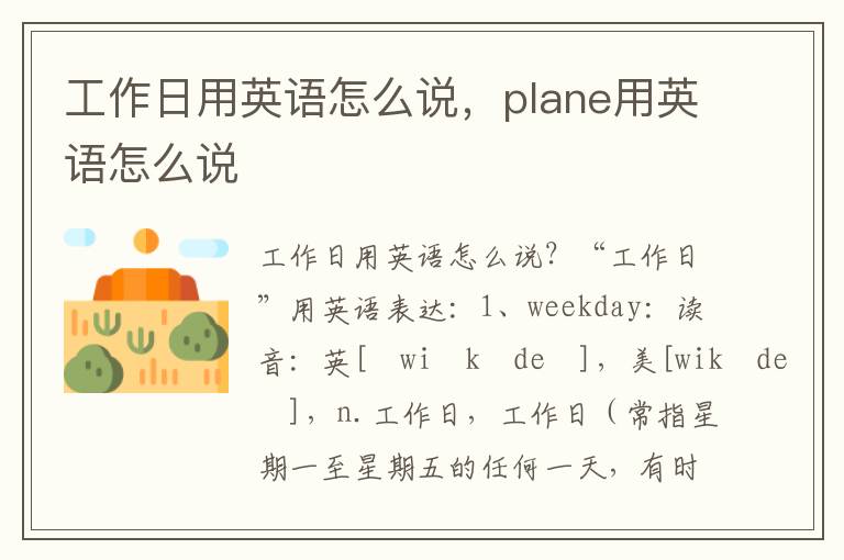 工作日用英语怎么说，plane用英语怎么说