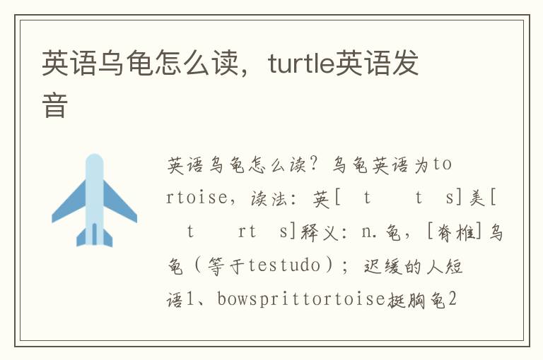 英语乌龟怎么读，turtle英语发音