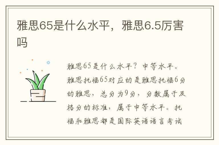 雅思65是什么水平，雅思6.5厉害吗