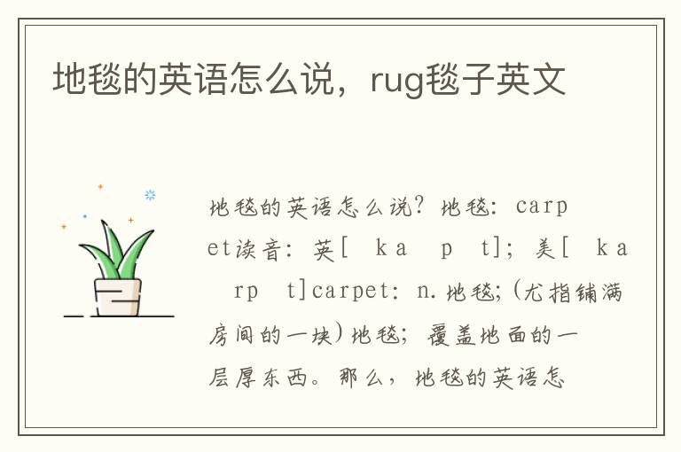 地毯的英语怎么说，rug毯子英文