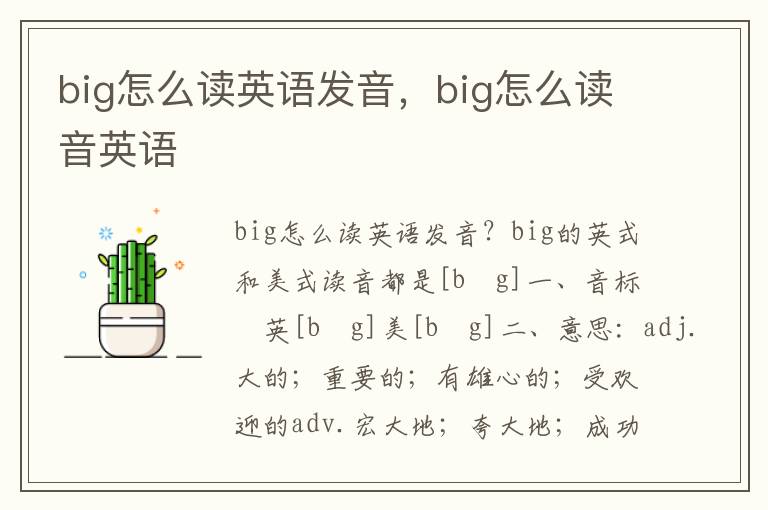 big怎么读英语发音，big怎么读音英语