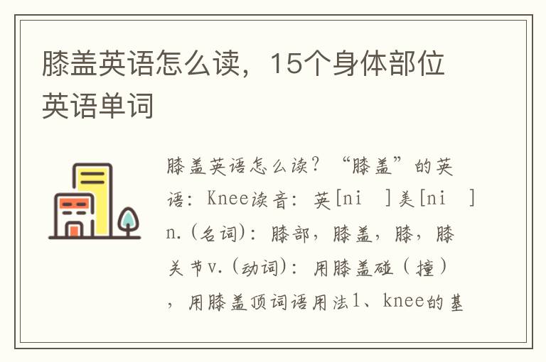 膝盖英语怎么读，15个身体部位英语单词