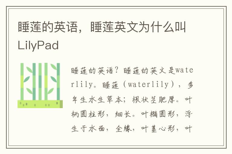 睡莲的英语，睡莲英文为什么叫LilyPad