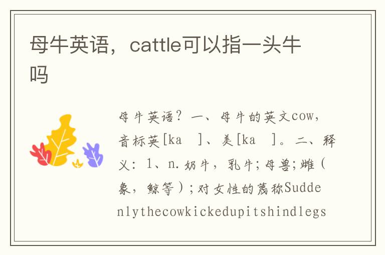 母牛英语，cattle可以指一头牛吗