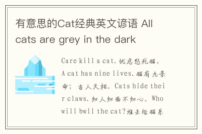 有意思的Cat经典英文谚语 All cats are grey in the dark